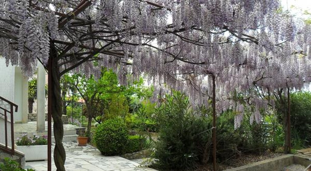 Image 3811615 - 11