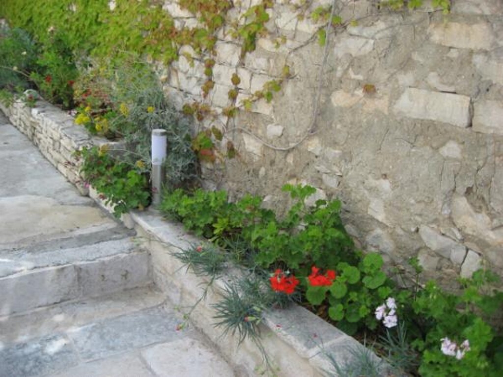 Image 3838505 - 22