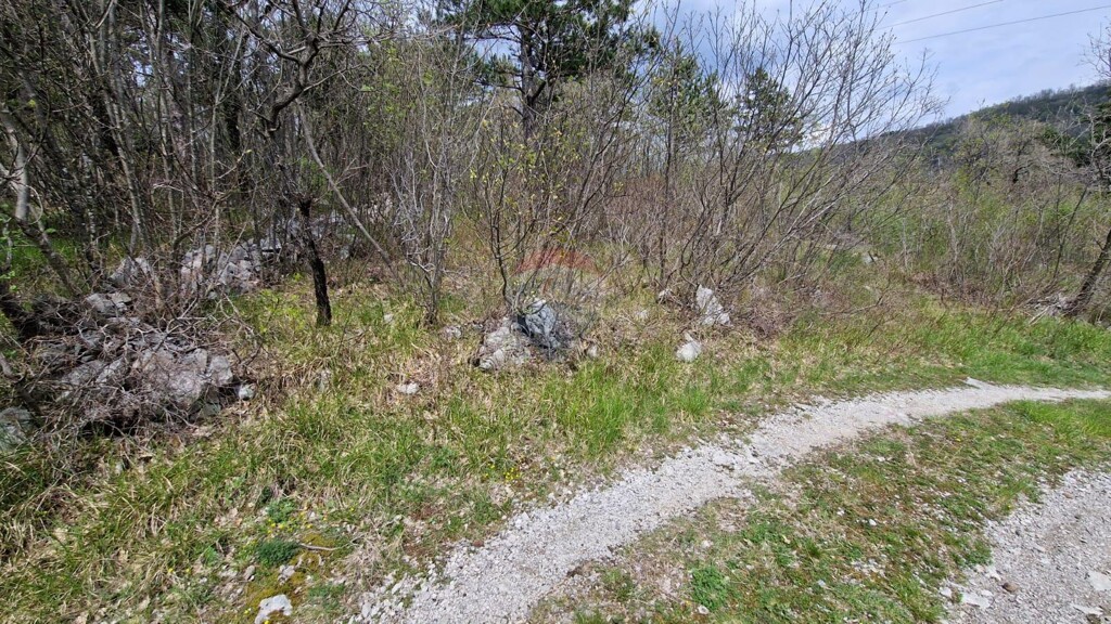Image 5430035 - 10