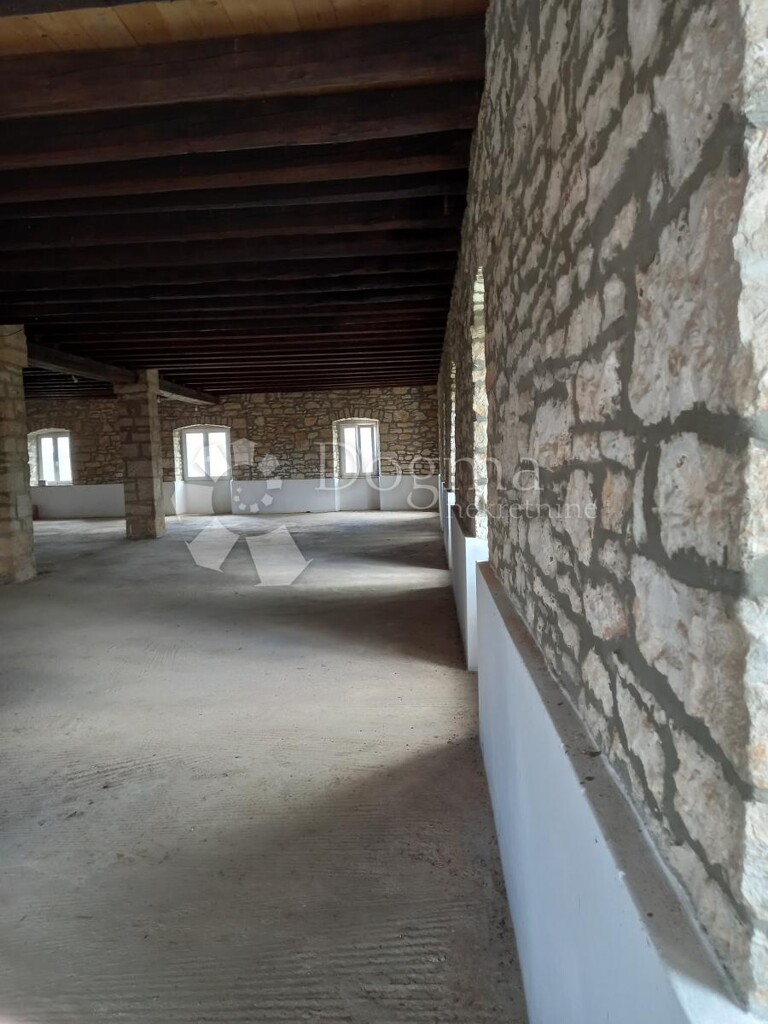 Image 14