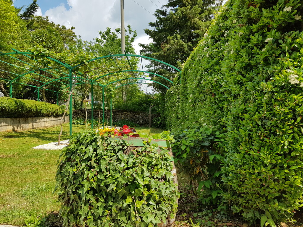 Image 6