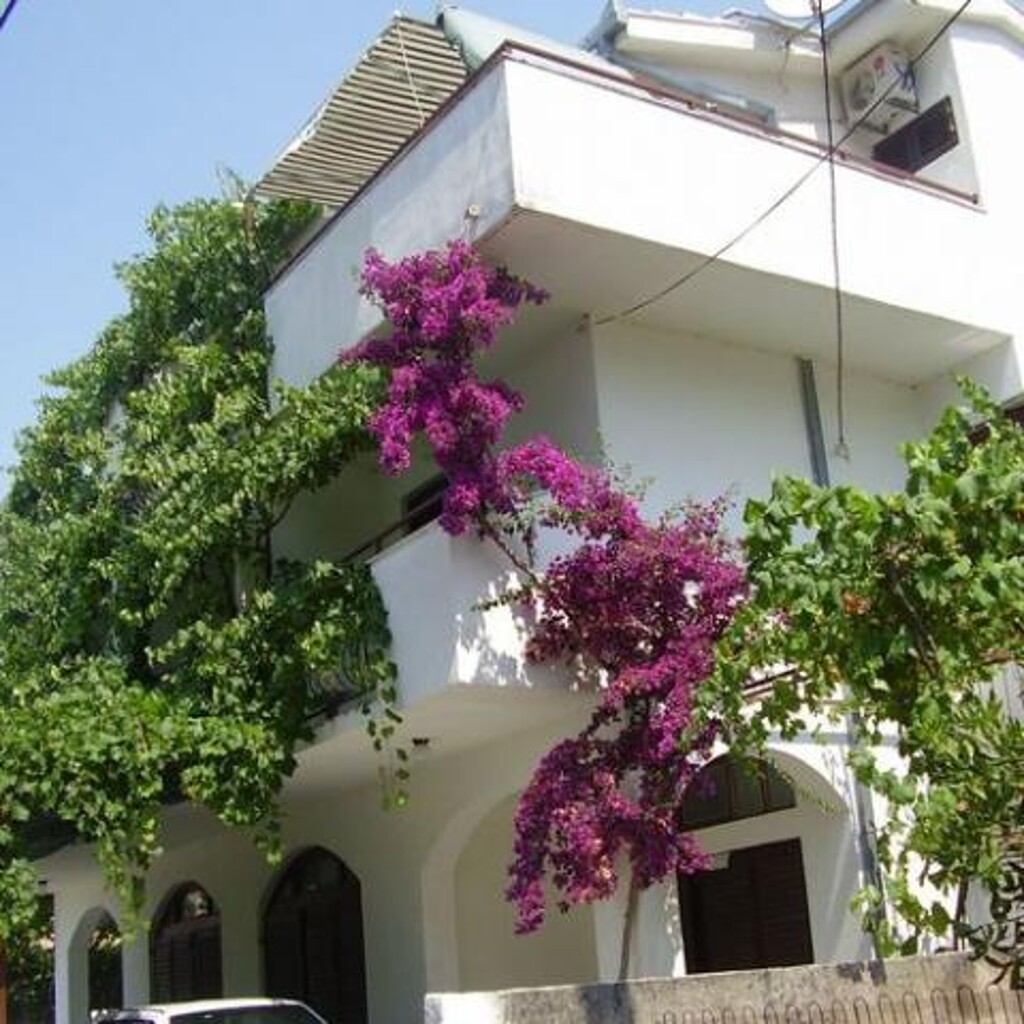 Image 3812695 - 5