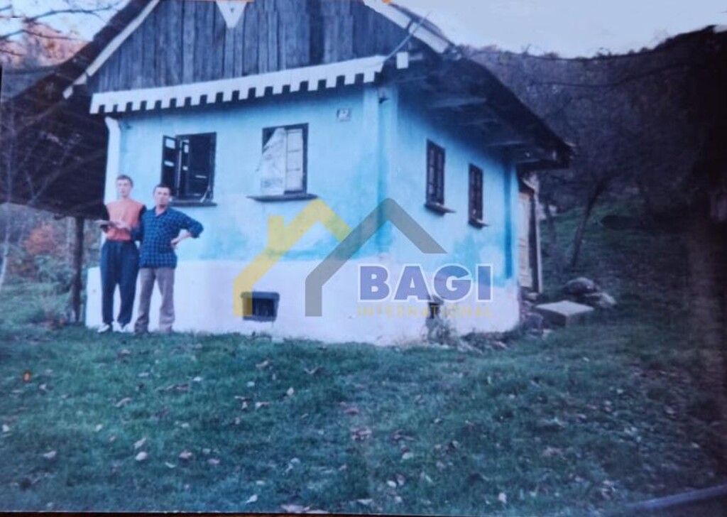 Image 19