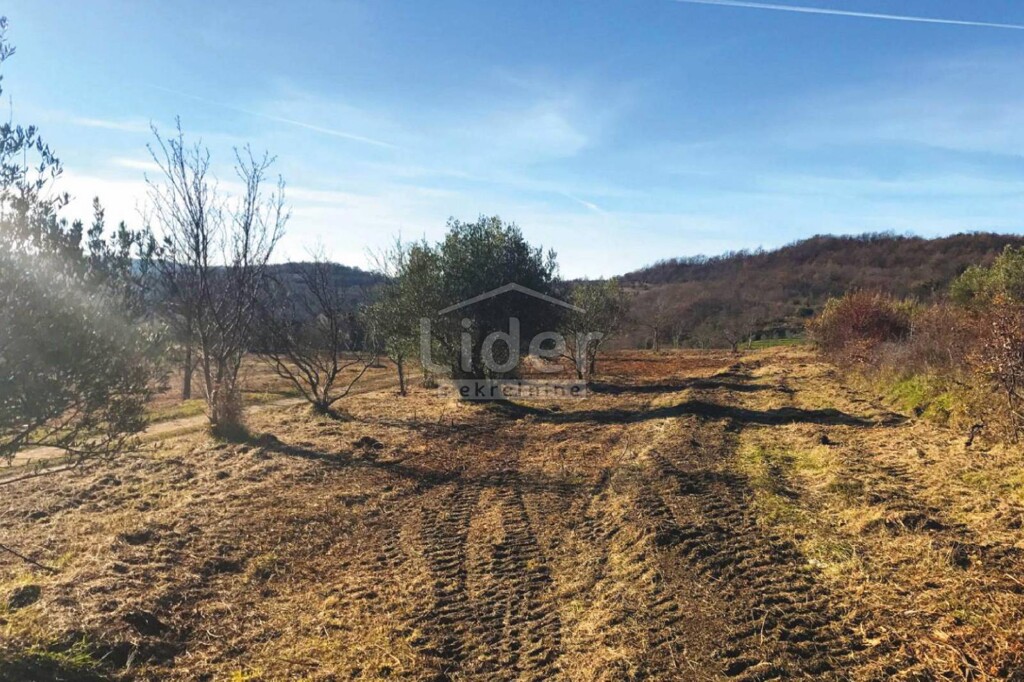 Image 21