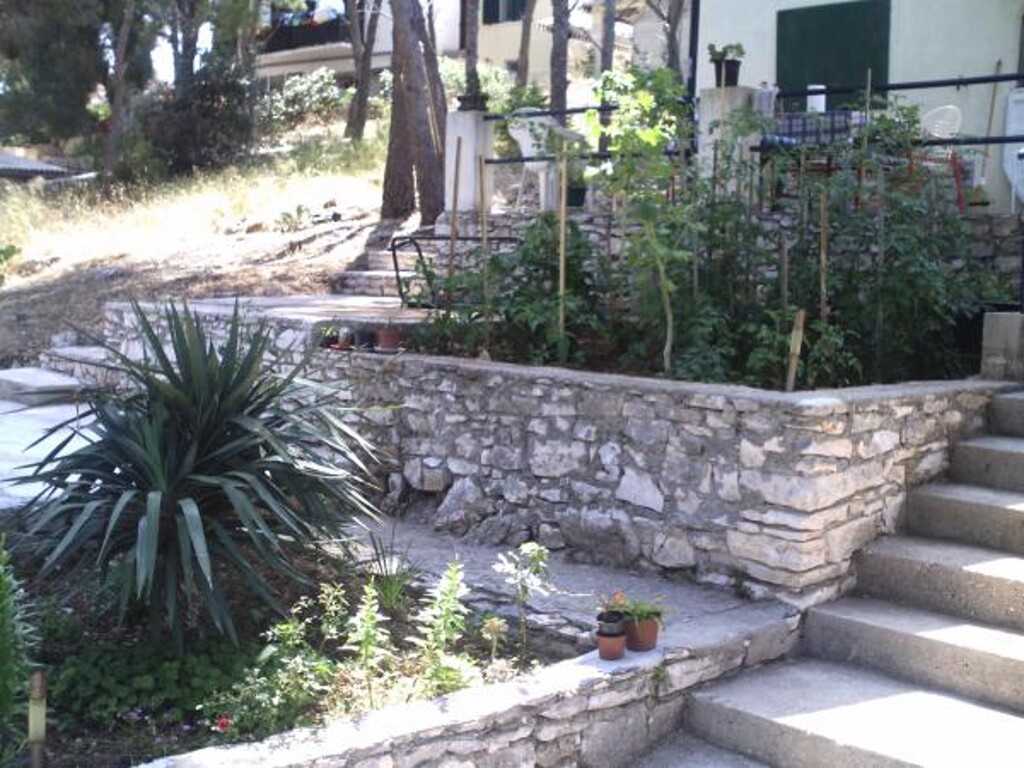Image 3812301 - 8