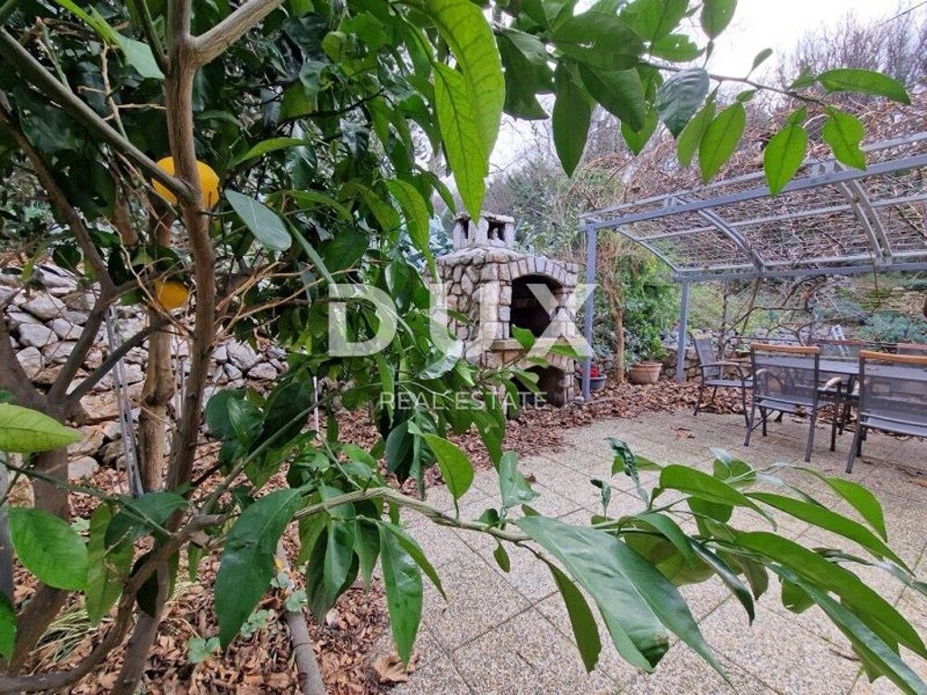 Image 14