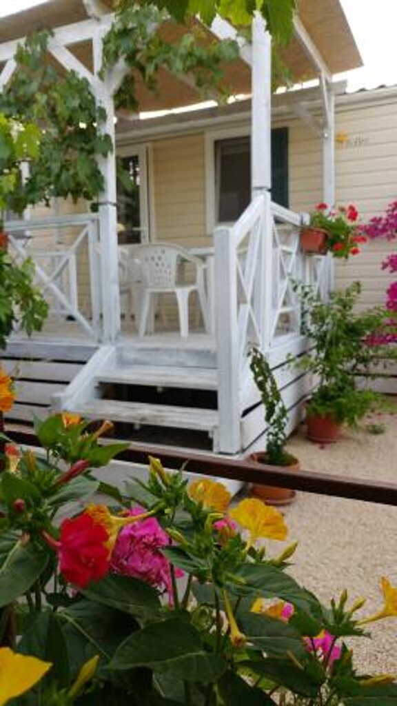 Image 15