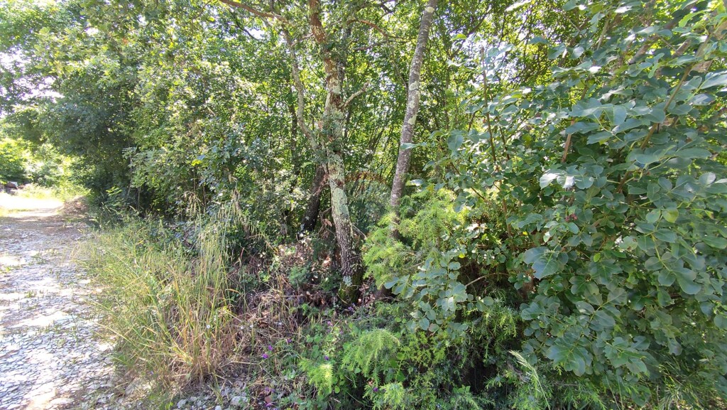 Image 5429736 - 1