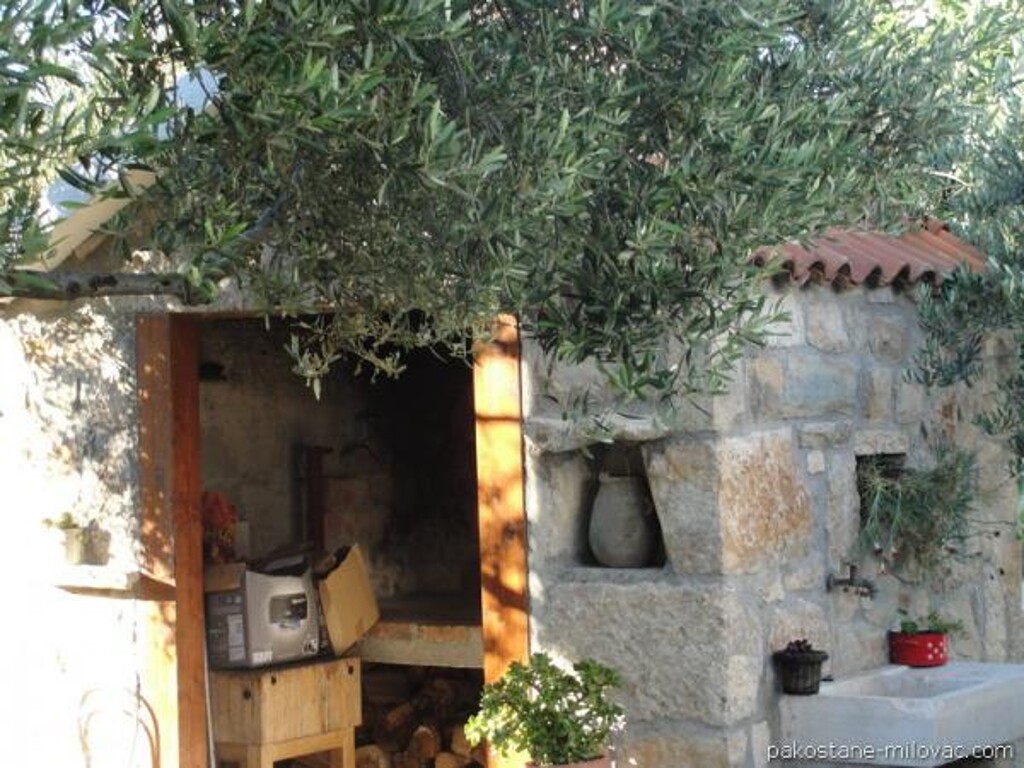 Image 3811676 - 6