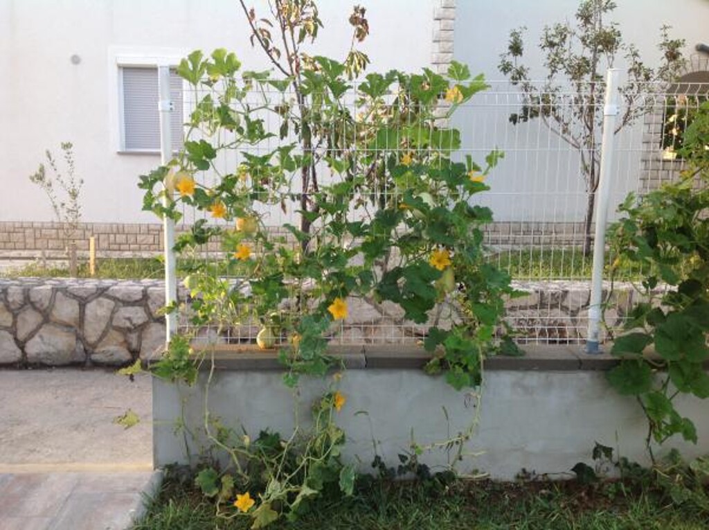 Image 3814061 - 10