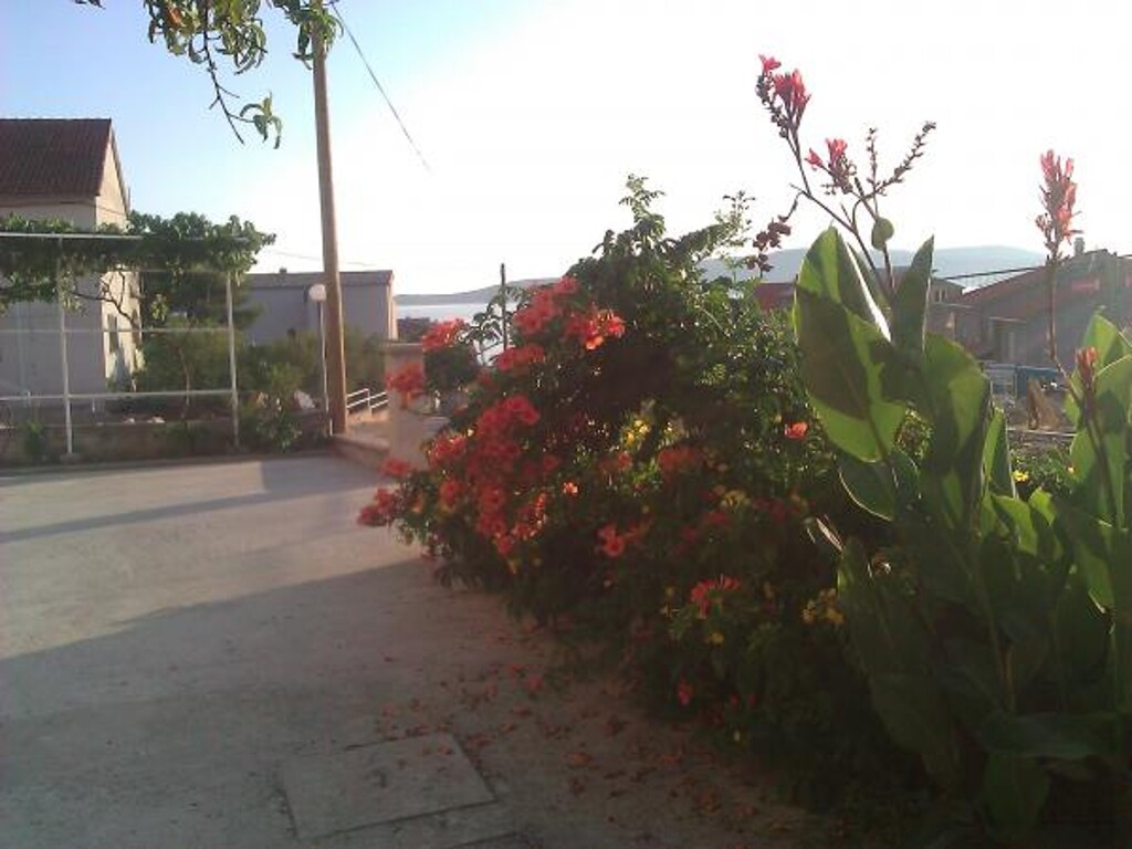 Image 3811722 - 5