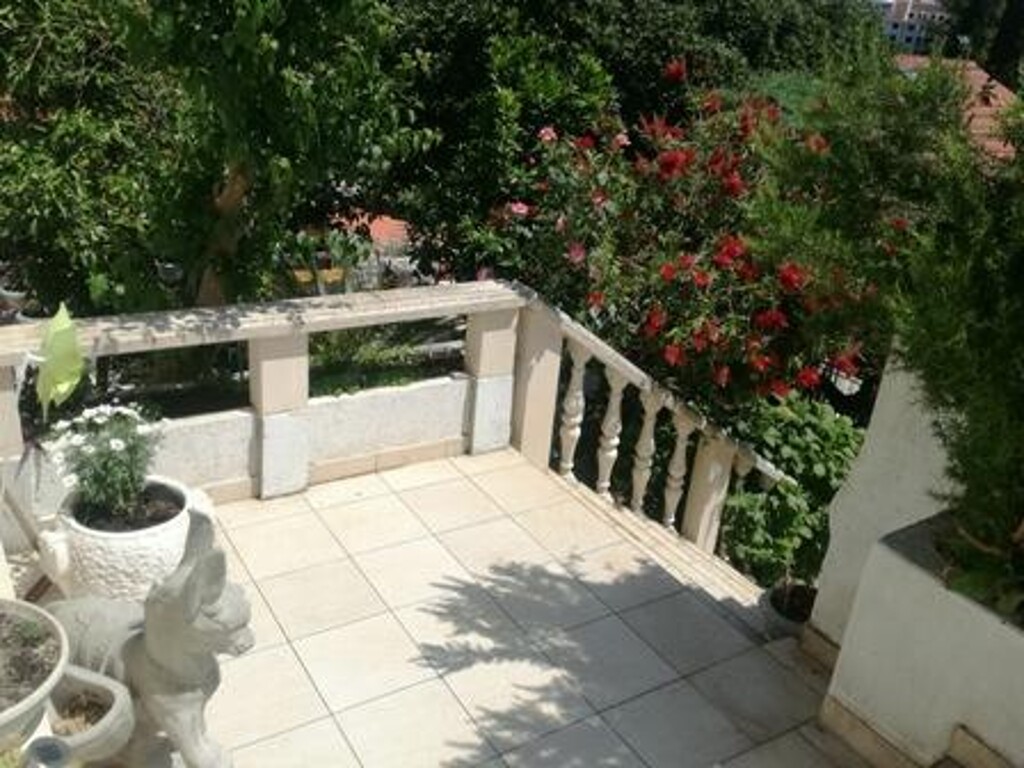 Image 3838601 - 21