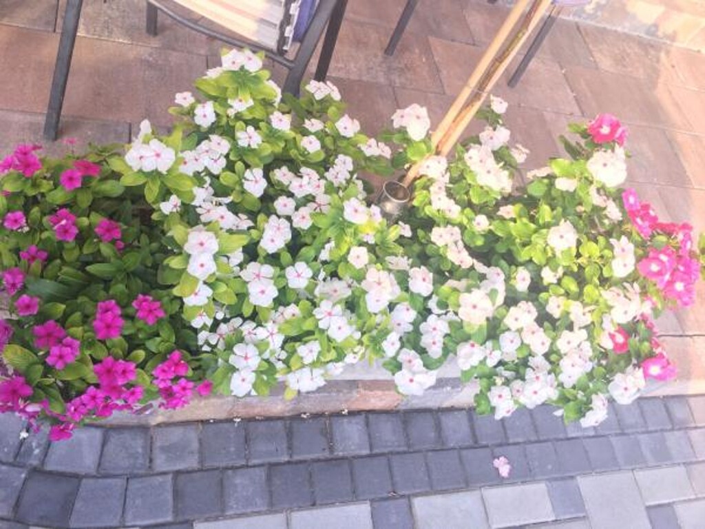 Image 3813057 - 5