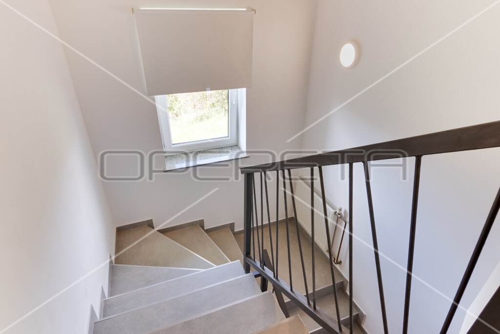 Image 13
