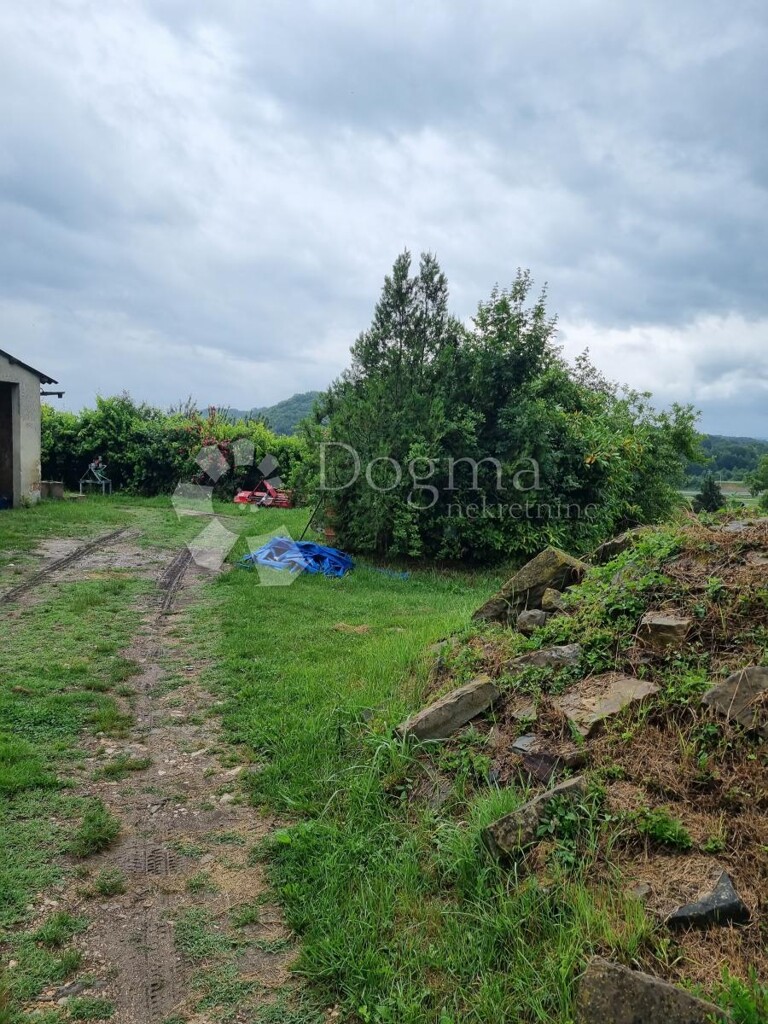 Image 13