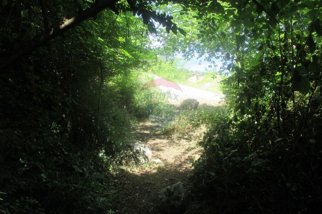 Image 5410726 - 2