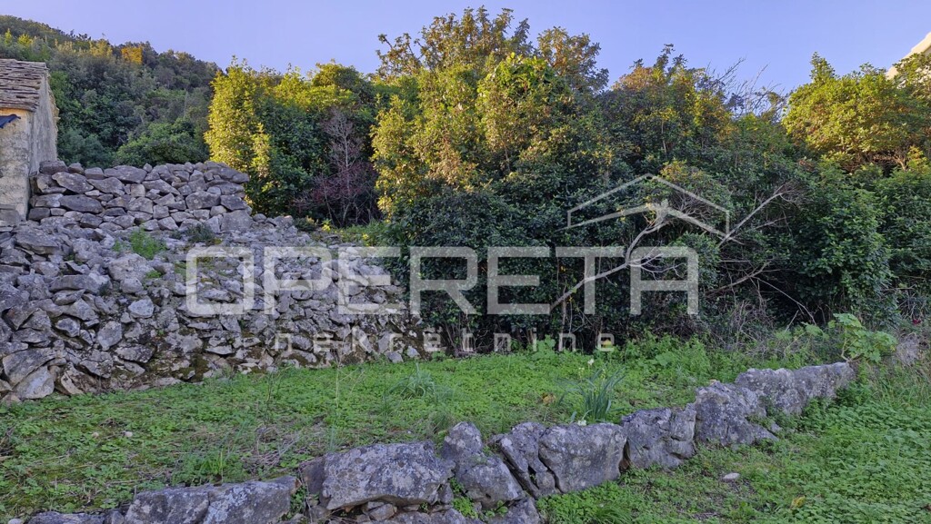 Image 15