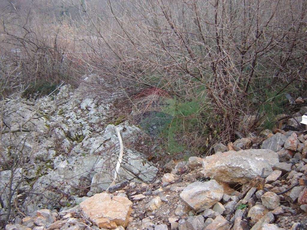 Image 5410934 - 1