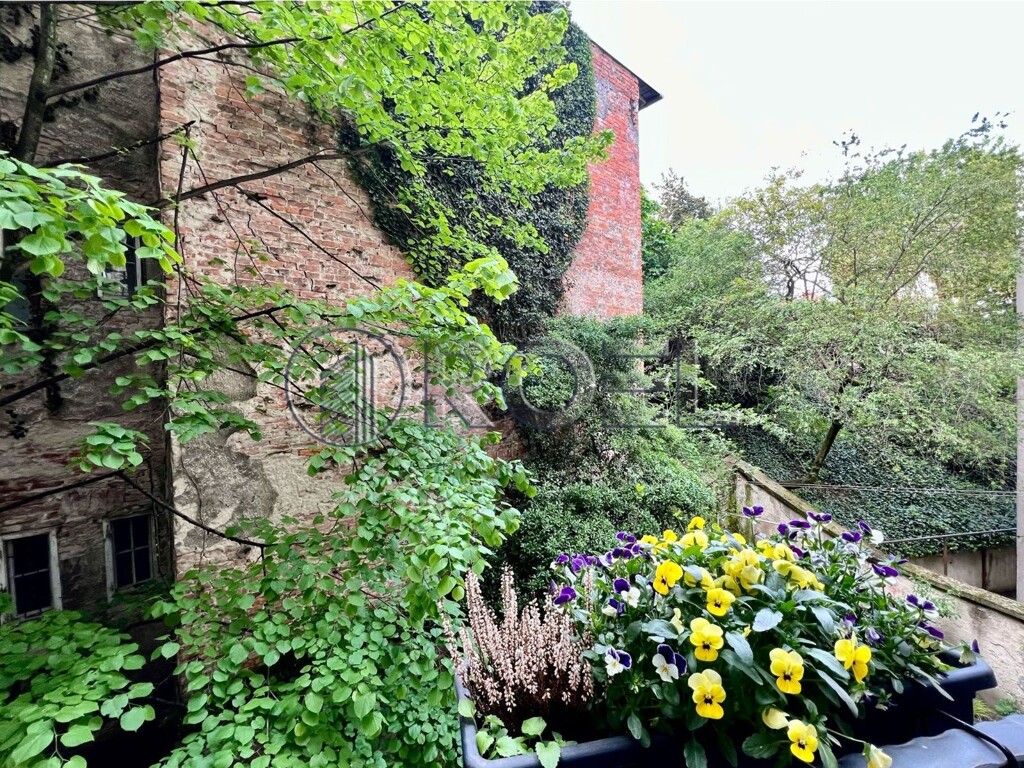 Image 16