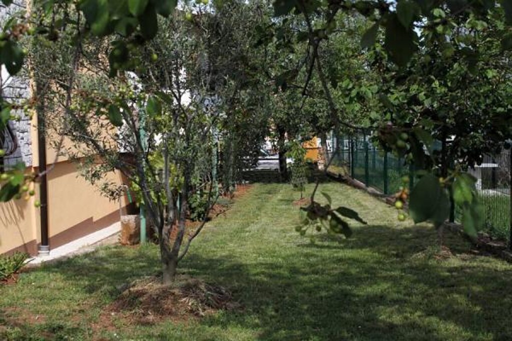 Image 3813776 - 11