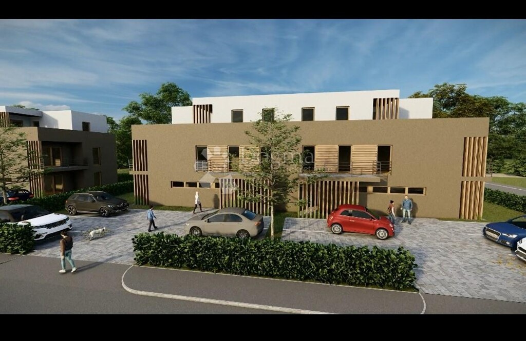 Image 20
