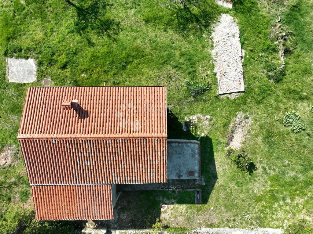 Image 20