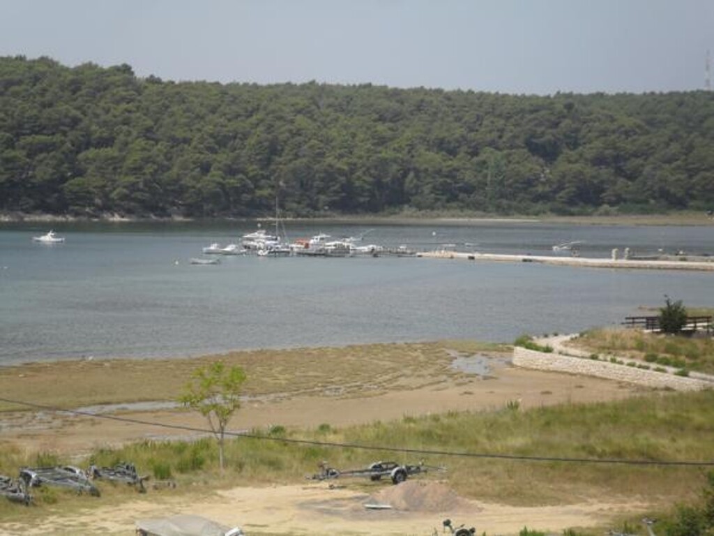Image 3813149 - 5