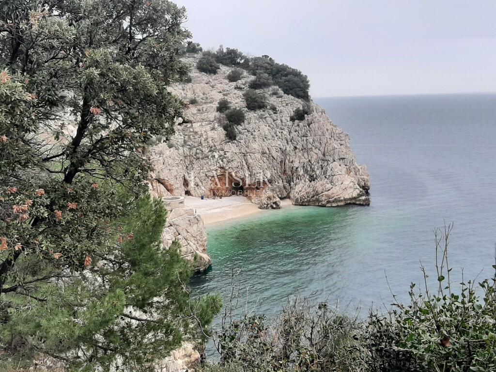 Image 17