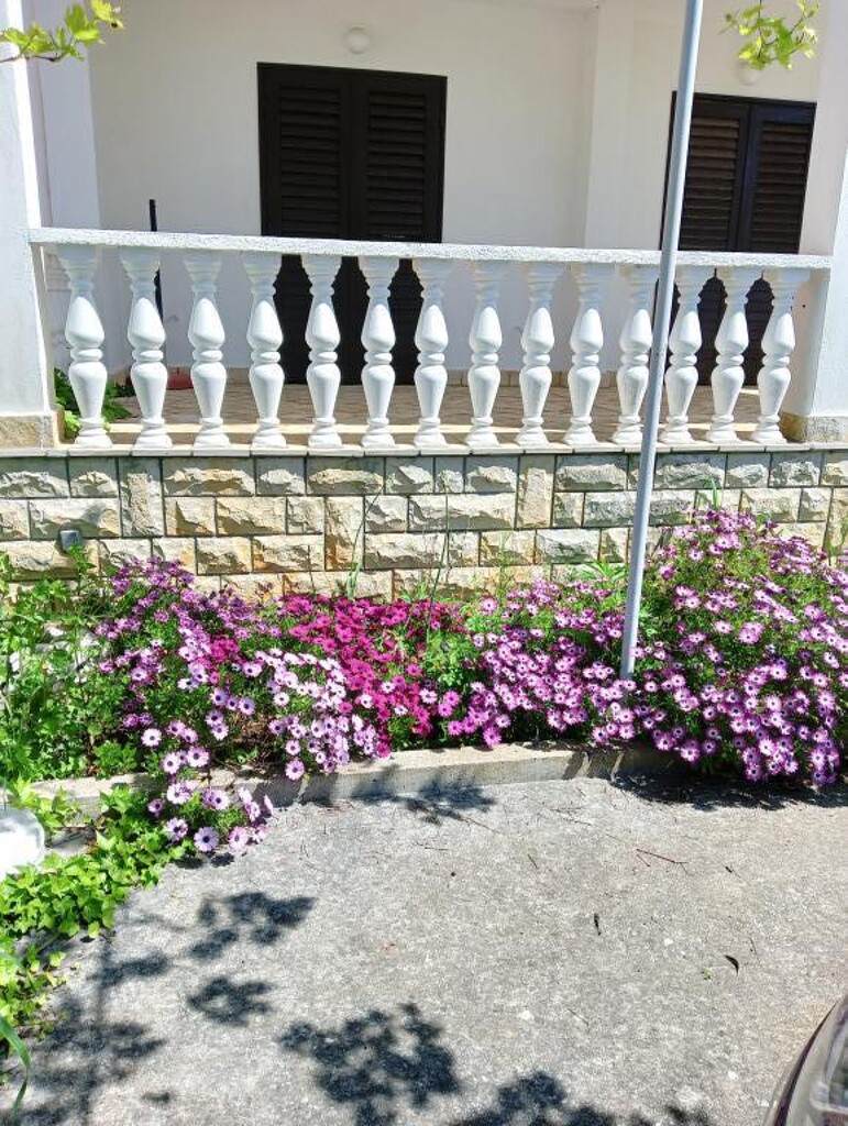 Image 14