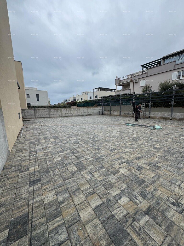 Image 14