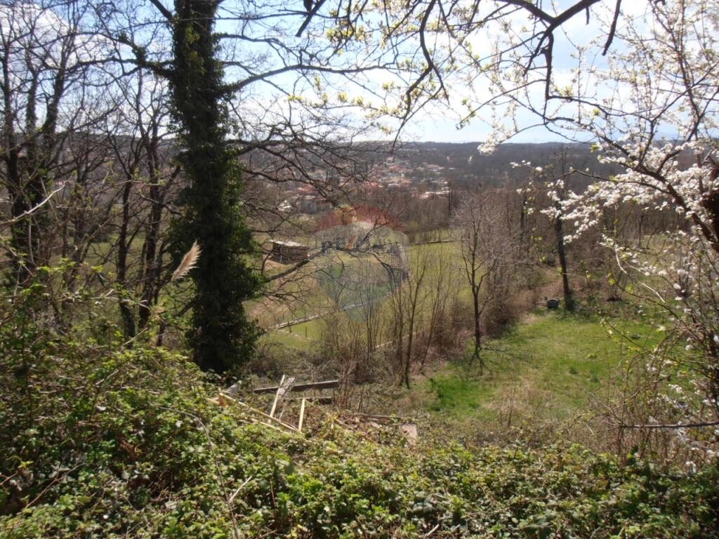 Image 5410890 - 3