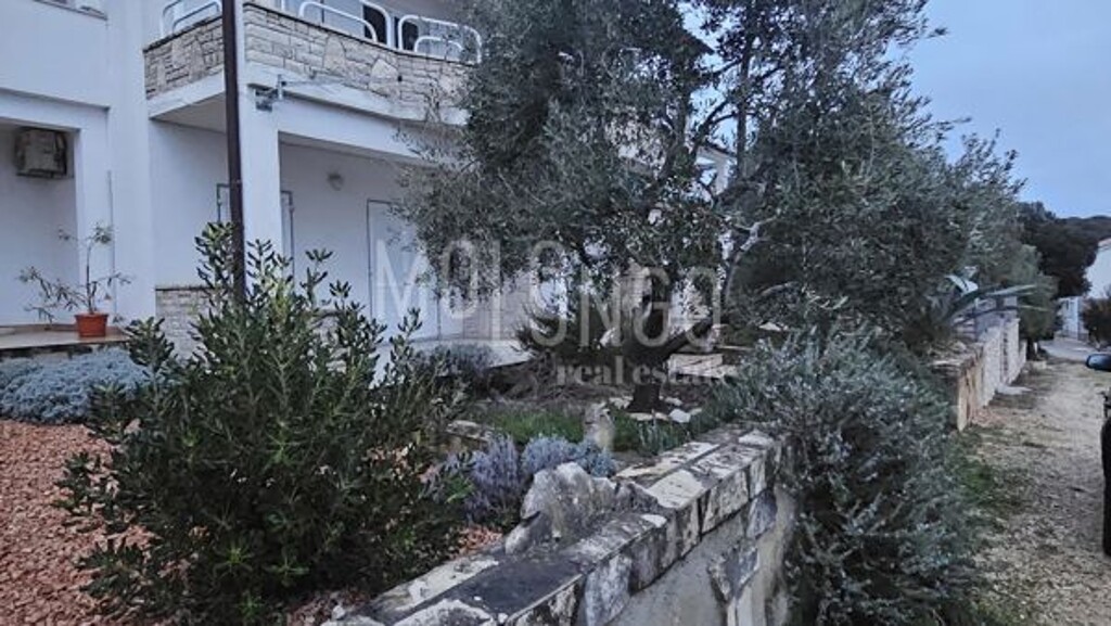 Image 6234693 - 4