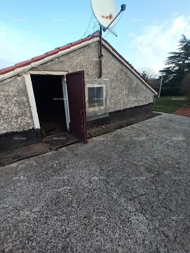Image 14
