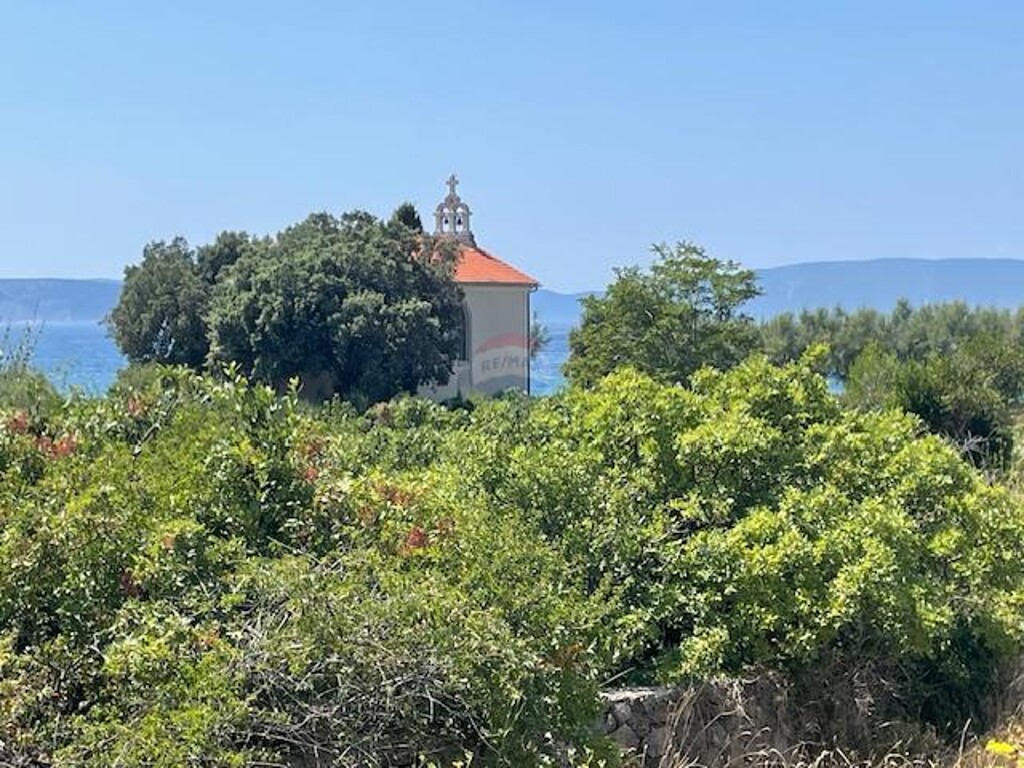 Image 13