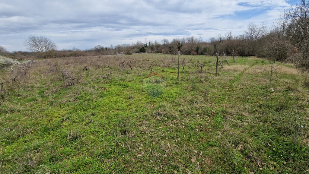 Image 5430161 - 1