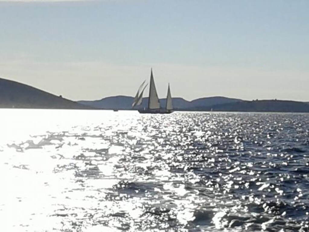 Image 3810573 - 31