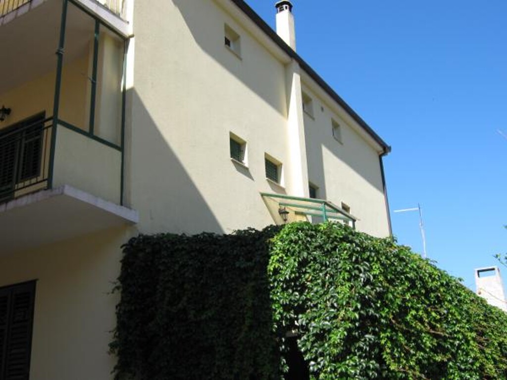 Image 3838613 - 6