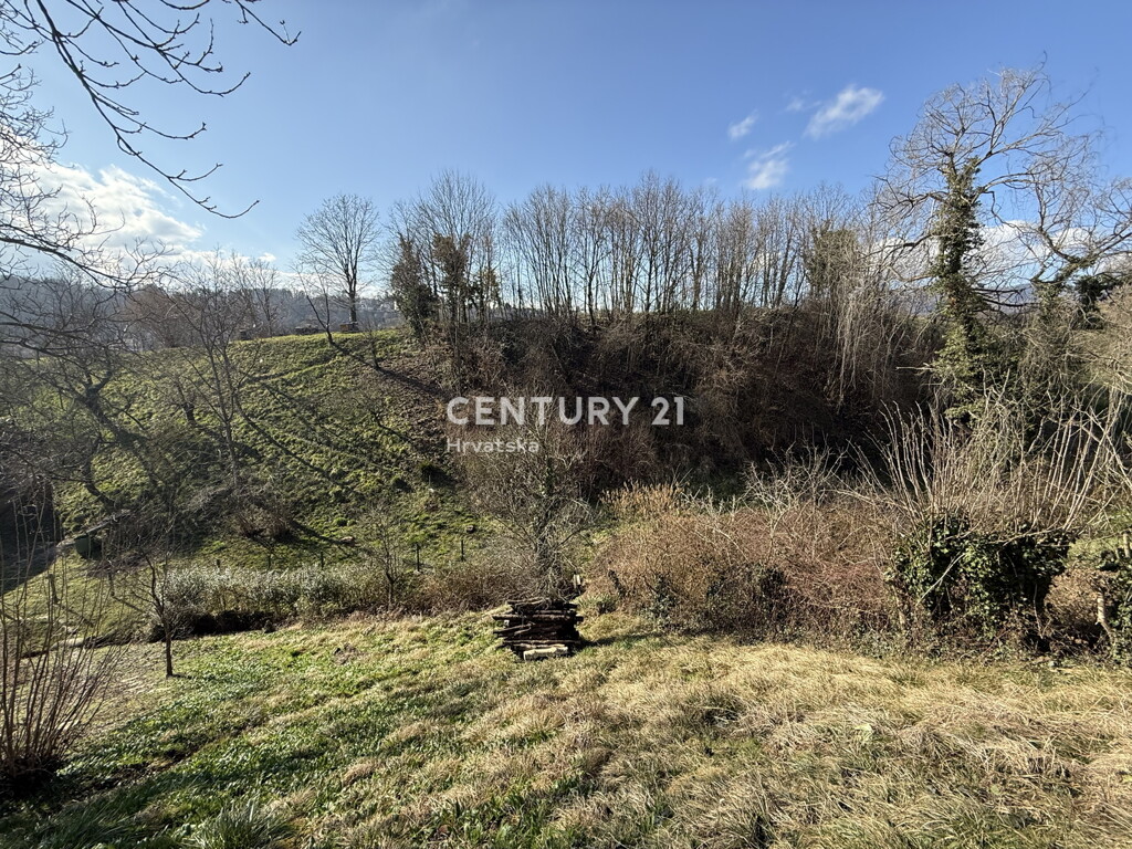 Image 22