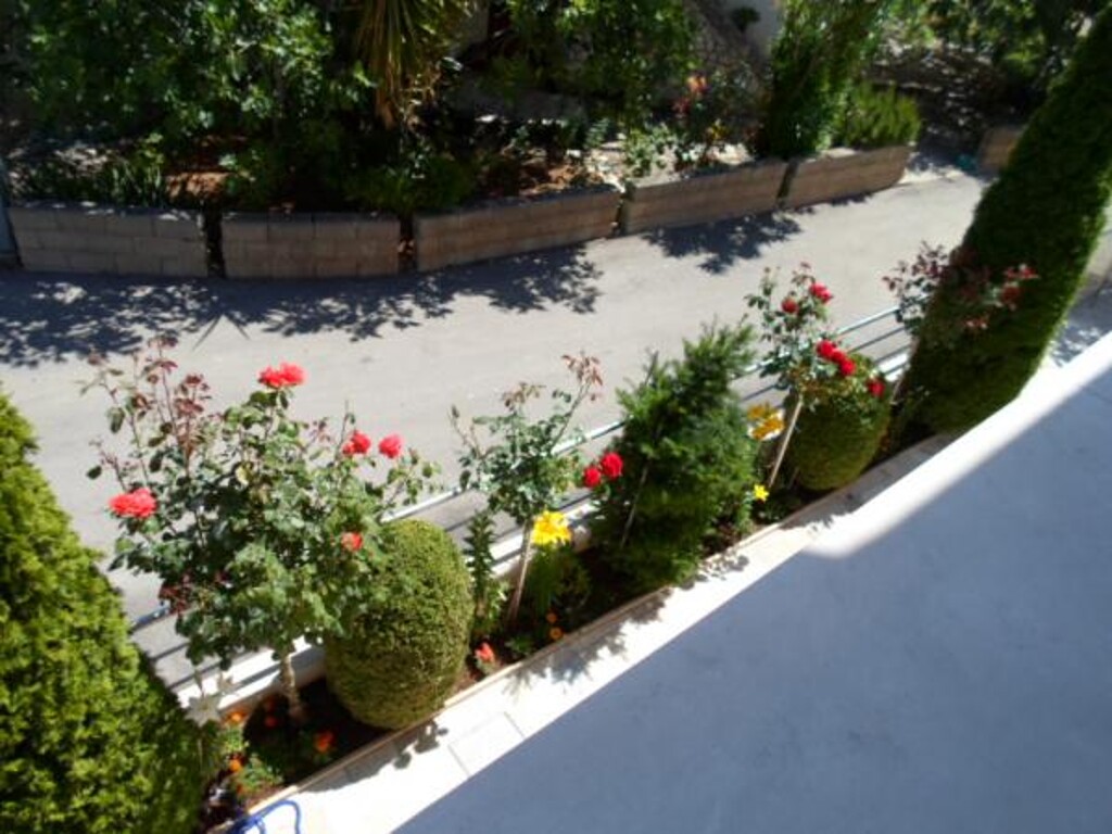 Image 3838871 - 6