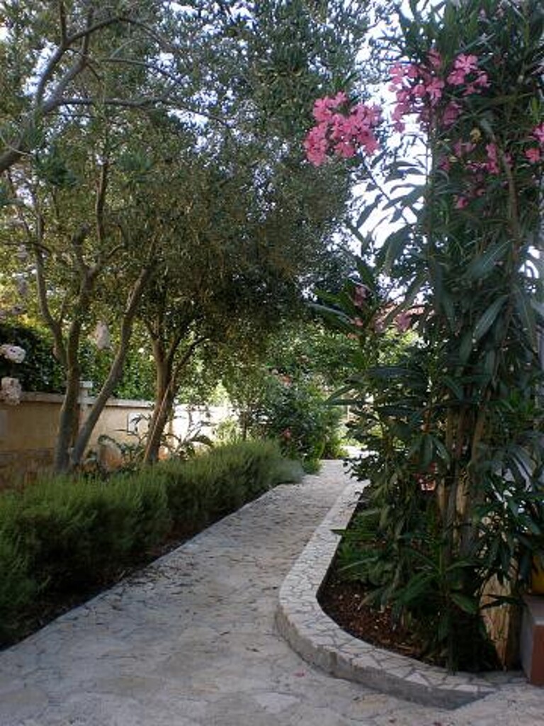 Image 3812710 - 11