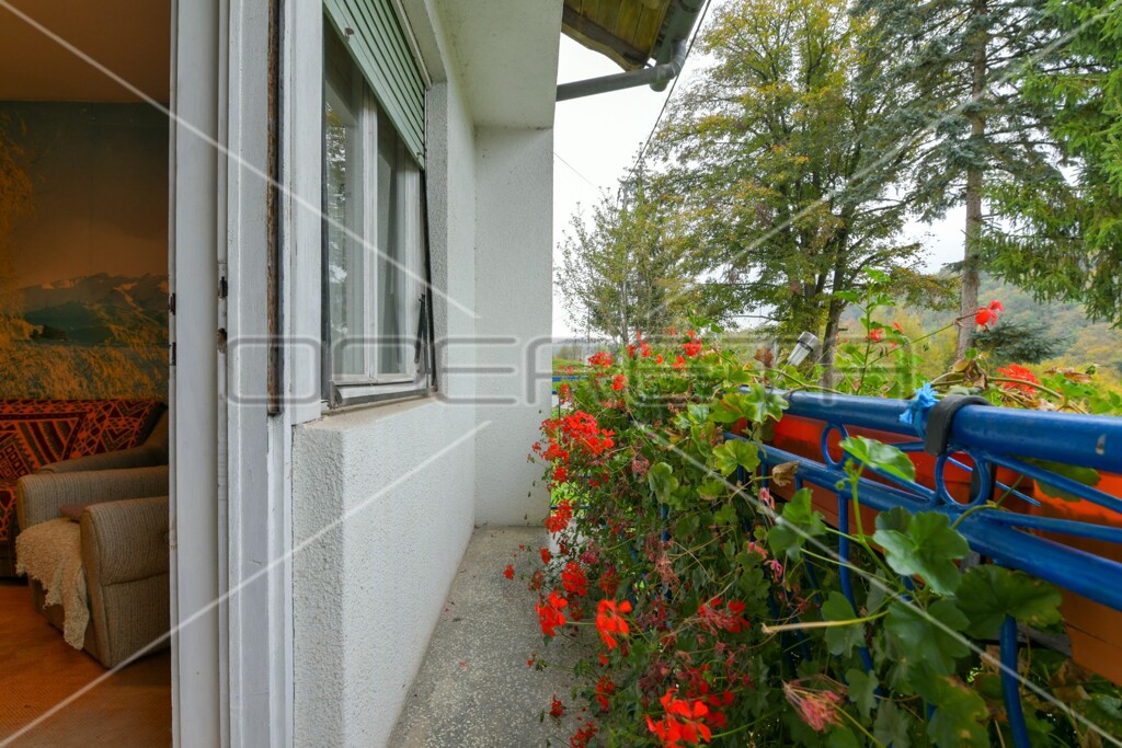 Image 23