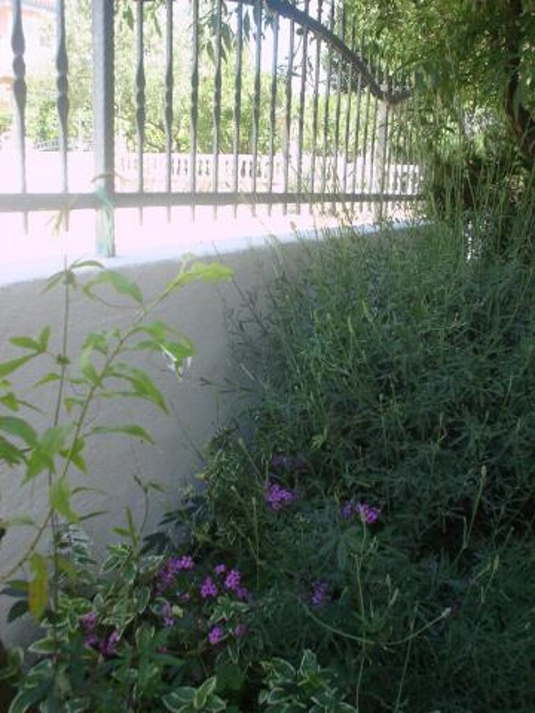 Image 3812199 - 26