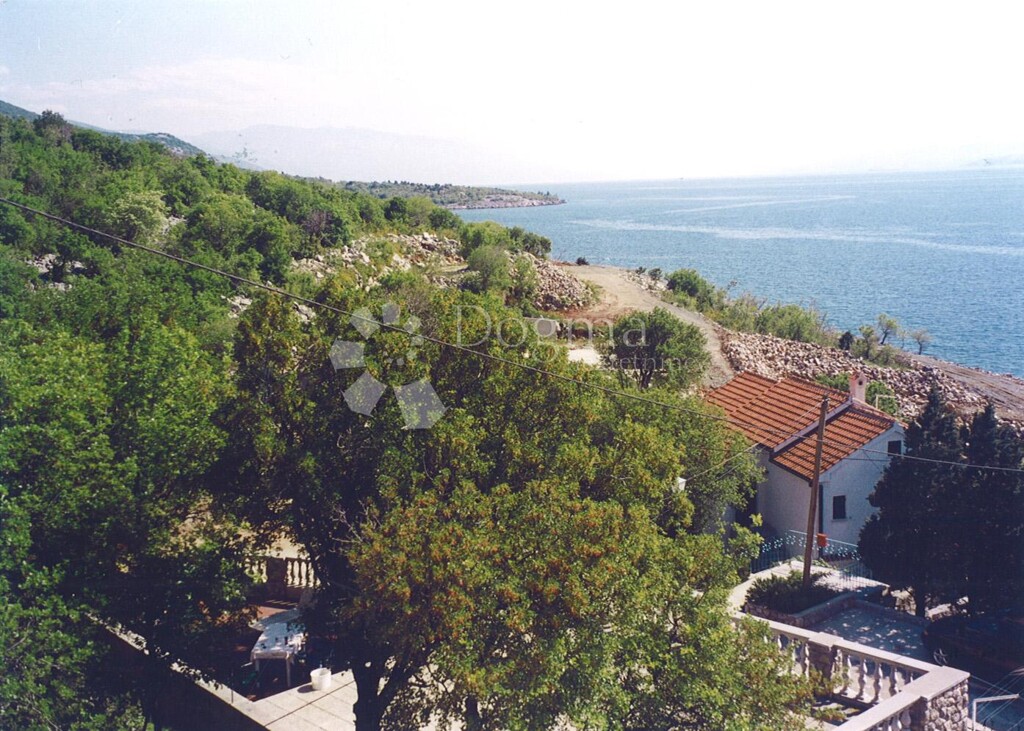 Image 21
