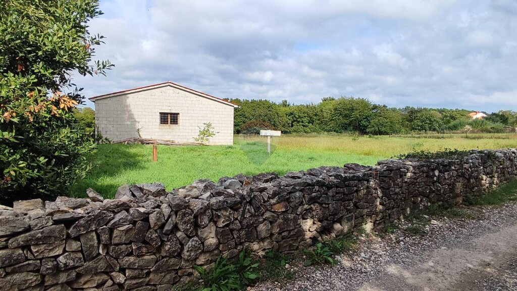 Image 5473825 - 1