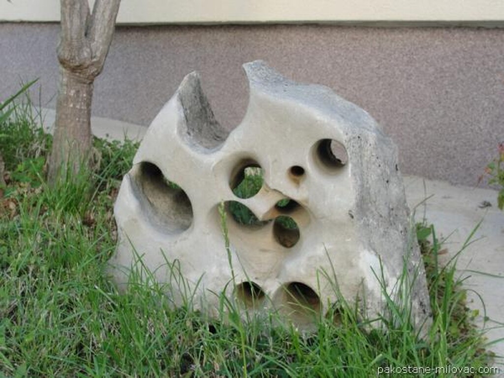 Image 3811676 - 8