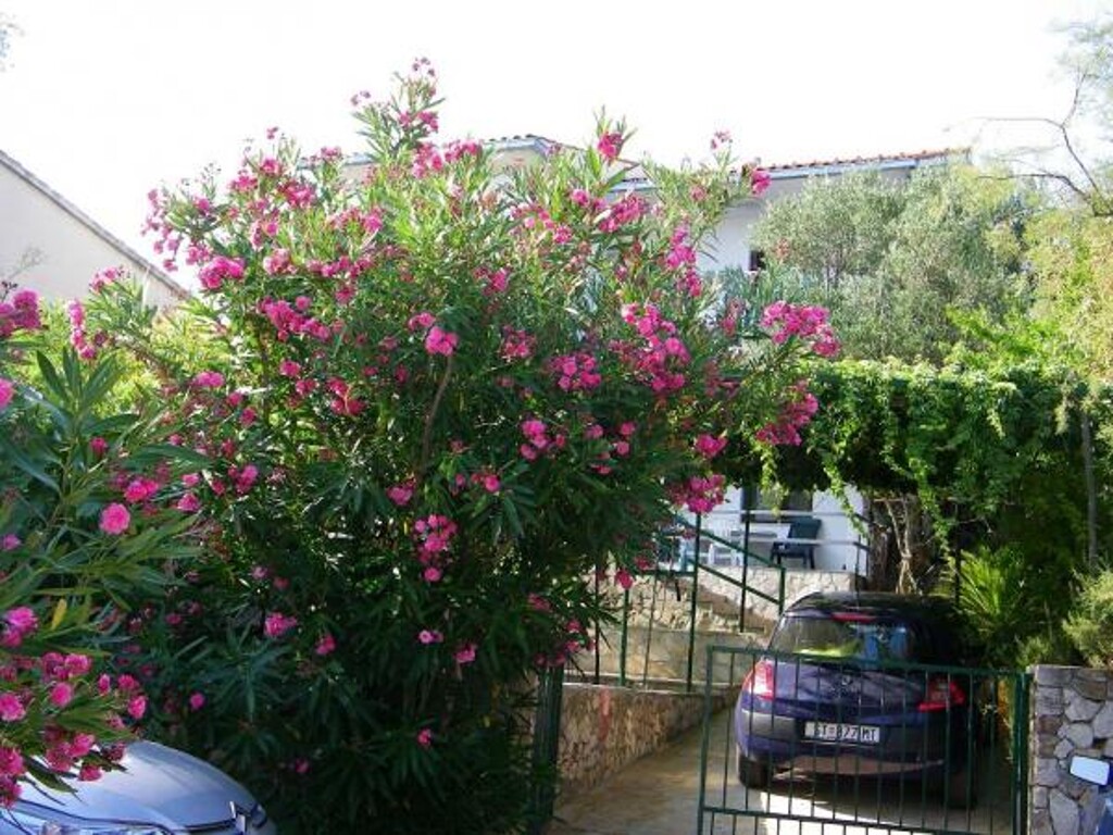Image 3812416 - 4
