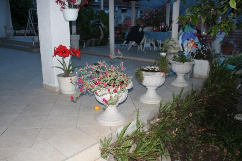 Image 3838601 - 11