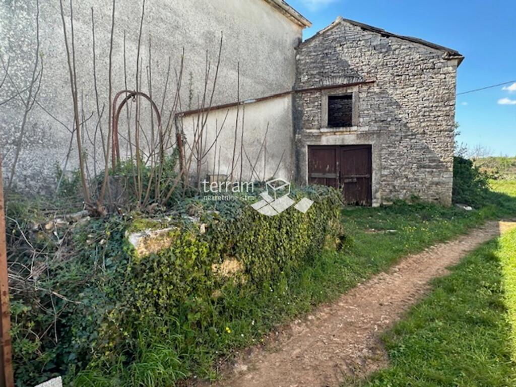 Image 14