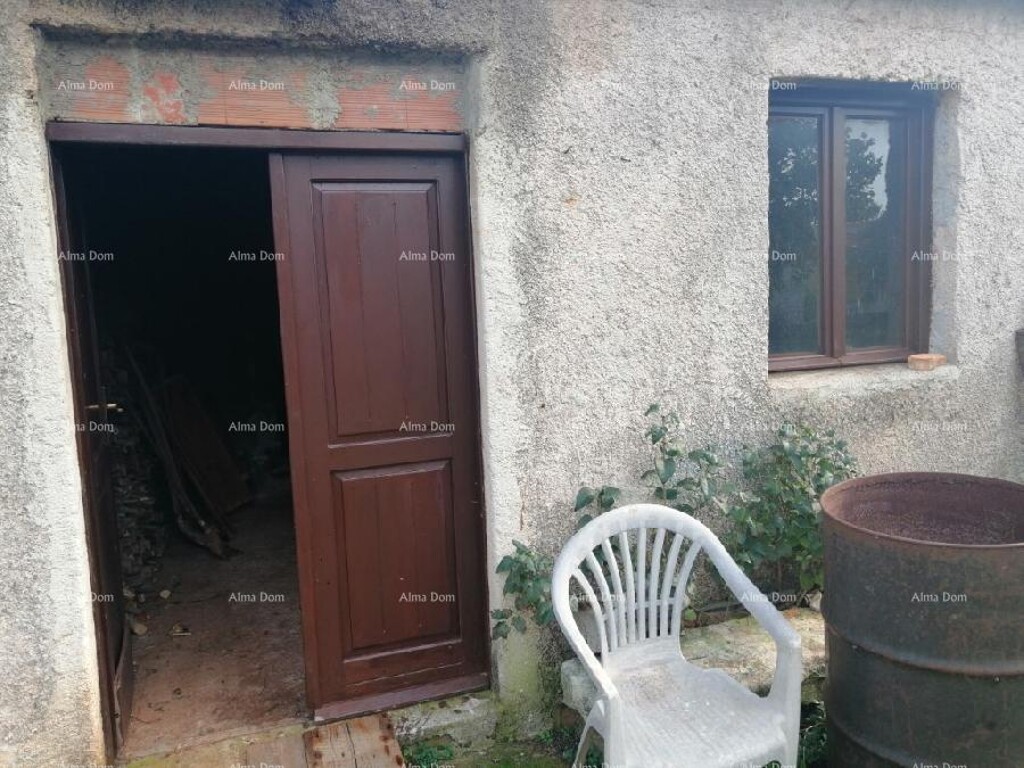 Image 12