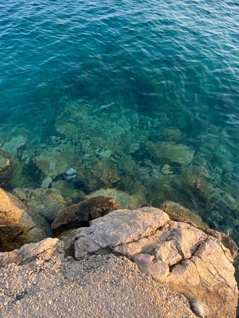 Image 15
